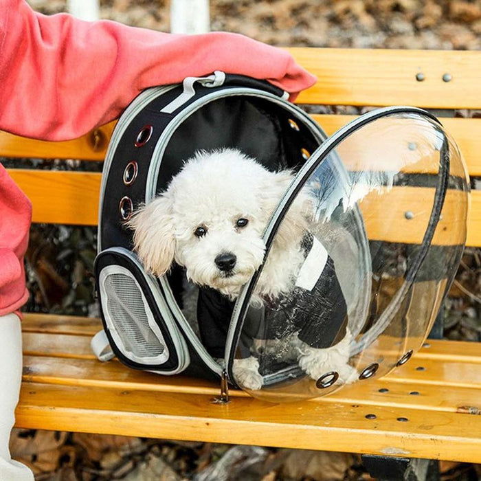 Dog Astronaut Capsule Backpack