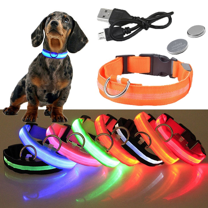 Glow In The Dark LED Dog Safety Collar