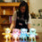 Amazing LED Plush Teddy Bears