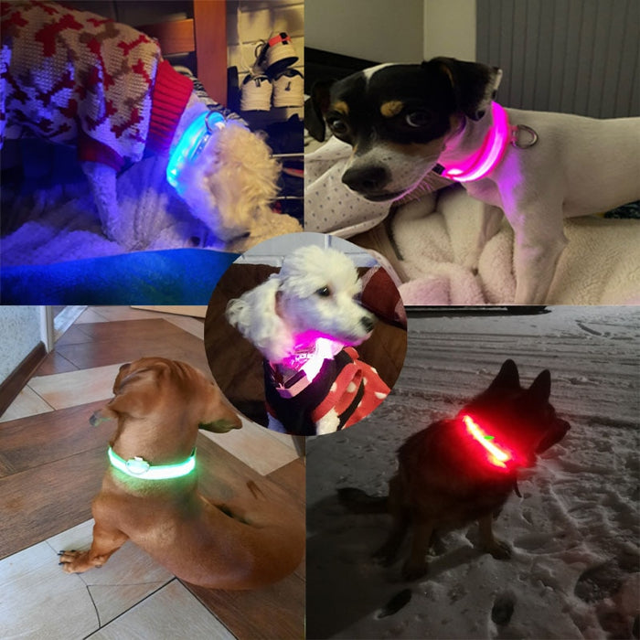 Glow In The Dark LED Dog Safety Collar